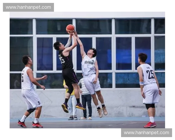 免费体育直播平台推荐与观看技巧解析 助你轻松享受赛事精彩瞬间